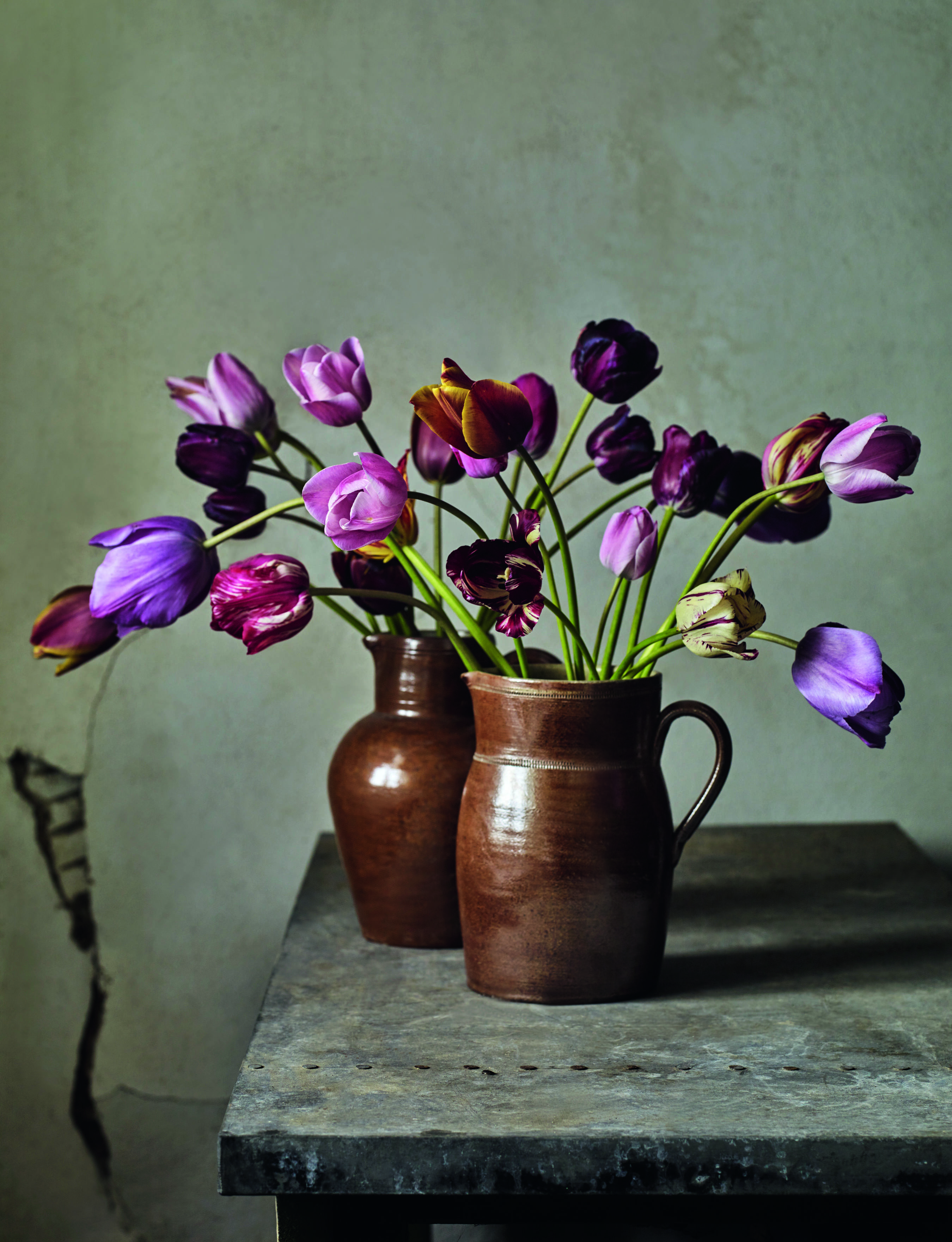 The Tulip Garden author Polly Nicholson interview rough