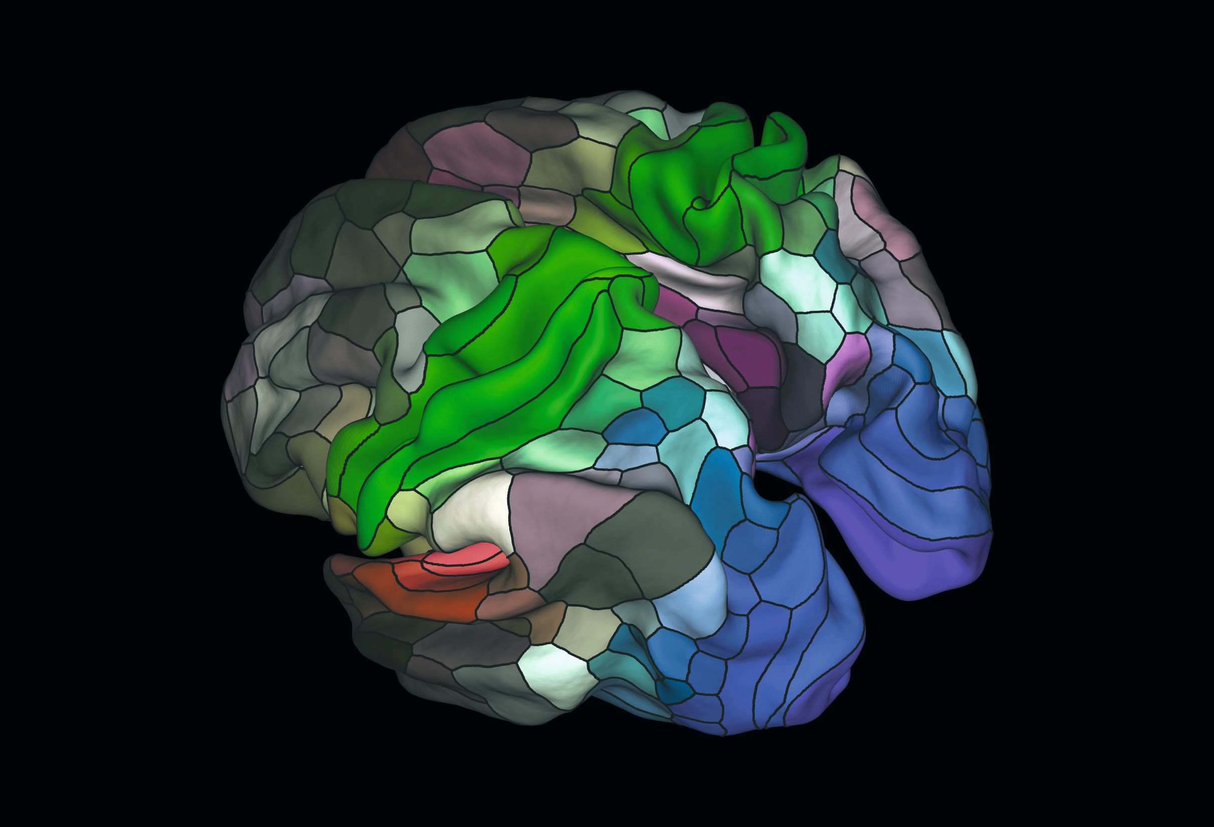 Brain map, 2016, Matthew F. Glasser, David C. Van Essen