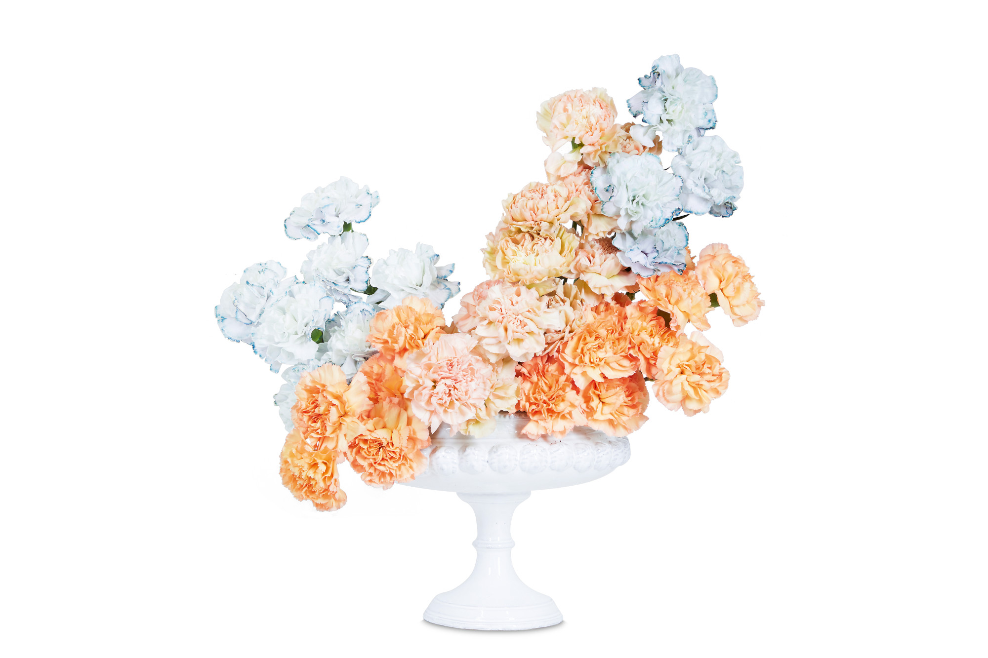 A complementary Peach and pale blue Carnation arrangement from Flower Color Theory. 'When creating a composition with only one type of flower, focus on color variation and the desired shape of the arrangement,' Darroch and Michael Putnam advise.