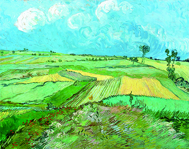 Wheat Fields After Rain (1890) by Vincent Van Gogh, as reproduced in our newly updated monograph