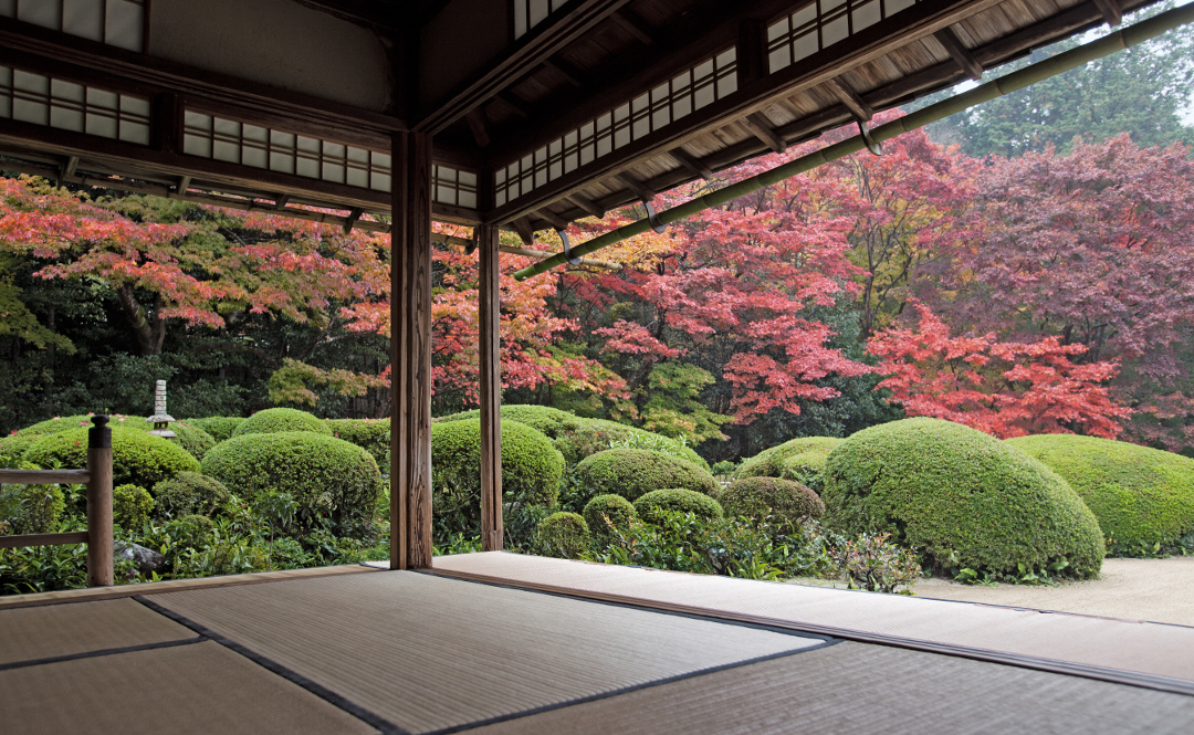 Shisen-do, Kyoto. Photo by John Lander