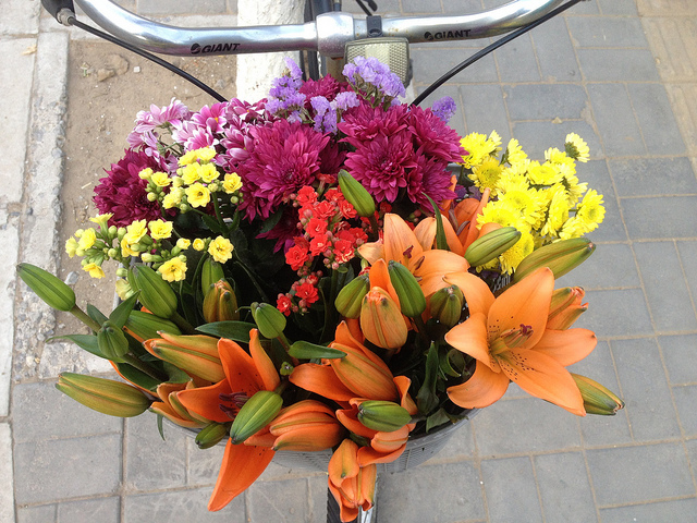 Flowers in Ai's bicycle basket