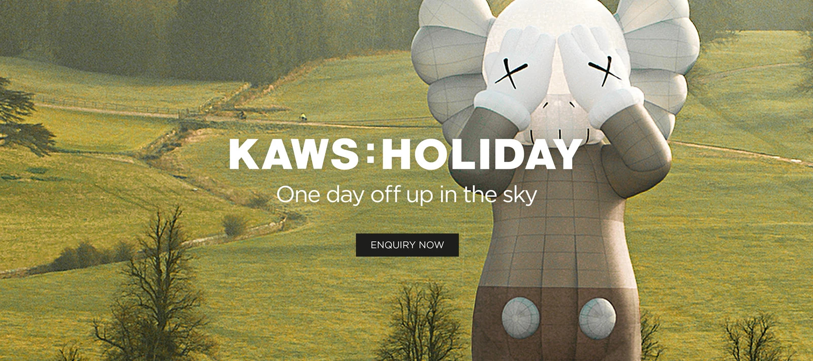 The image advertising KAWS's new project at ddtstore.com