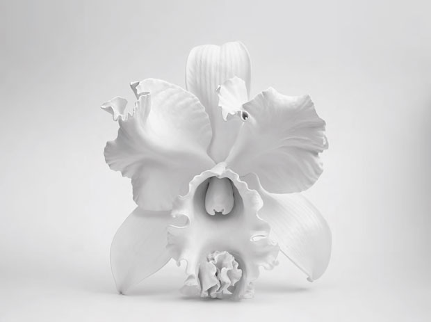 Seed of the Baroque (2014) by Marc Quinn, from Plant: Exploring the Botanical World