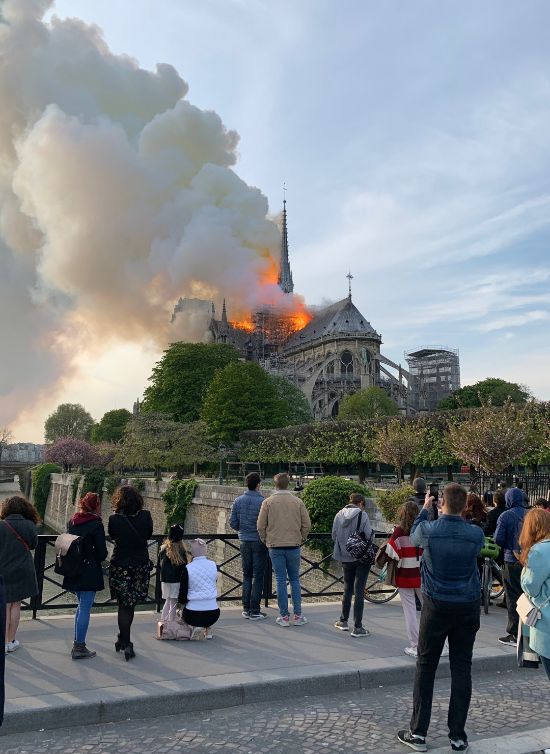 The Notre Dame fire. Photographs by William Hall