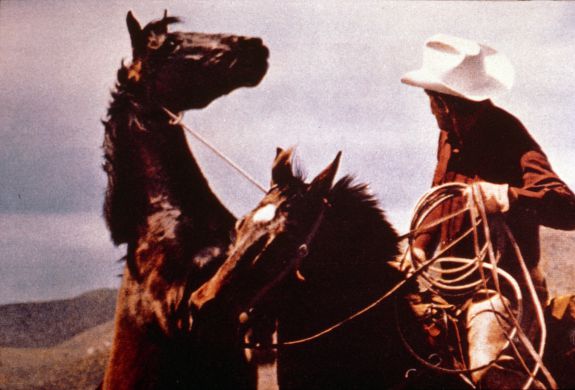 Untitled (cowboys) 1987 by Richard Prince