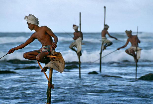 Steve McCurry - Stilt Fishermen, Sri Lanka 1995
