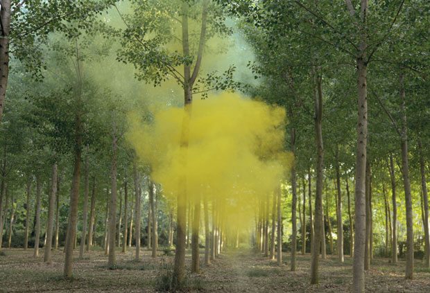 Silence/ Shapes_Ongoing - Filippo Minelli