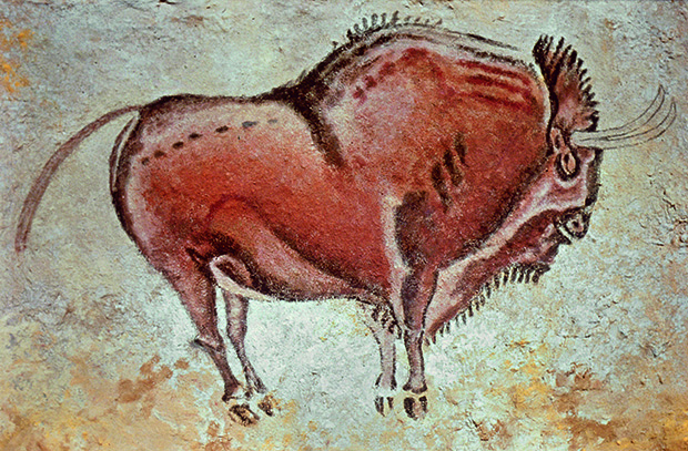 Altamira Bison, artist unknown, pigments on limestone, Spain, c.15000 BC. From 30,000 Years of Art