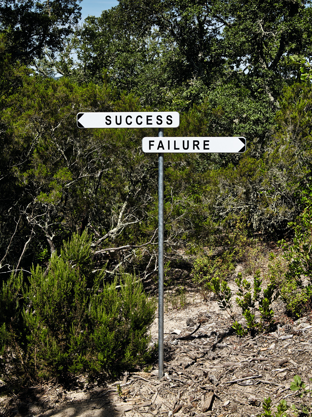 Success Failure, 2014, Domaine du Muy, France, by Gianni Motti 