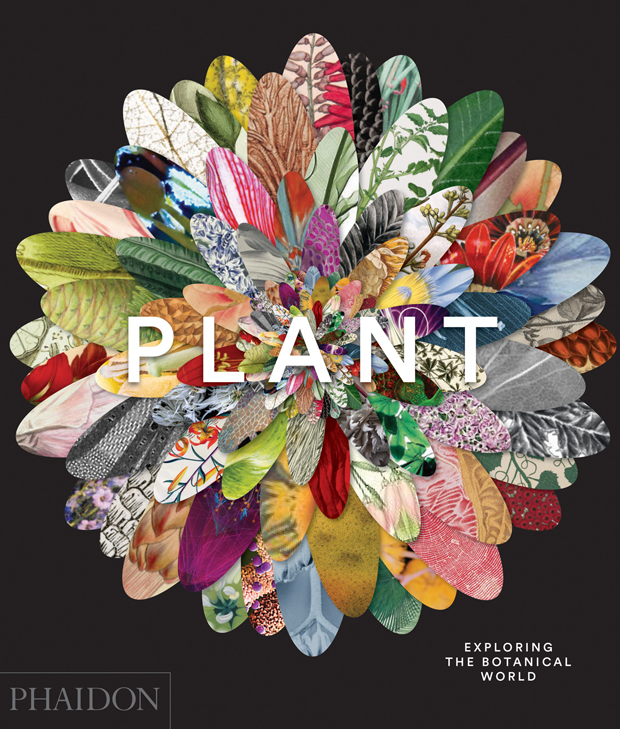 The cover of Plant: Exploring the Botanical World