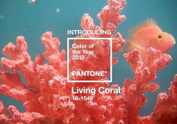 Pantone's 2019 Colour of the Year, Living Coral