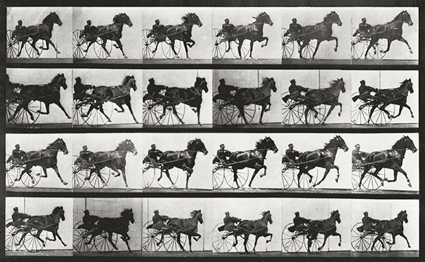 Attitudes of Animals in Motion, Horses, Trotting Edginton No.34 (1879) by Eadweard Muybridge, as reproduced in The Photography Book 