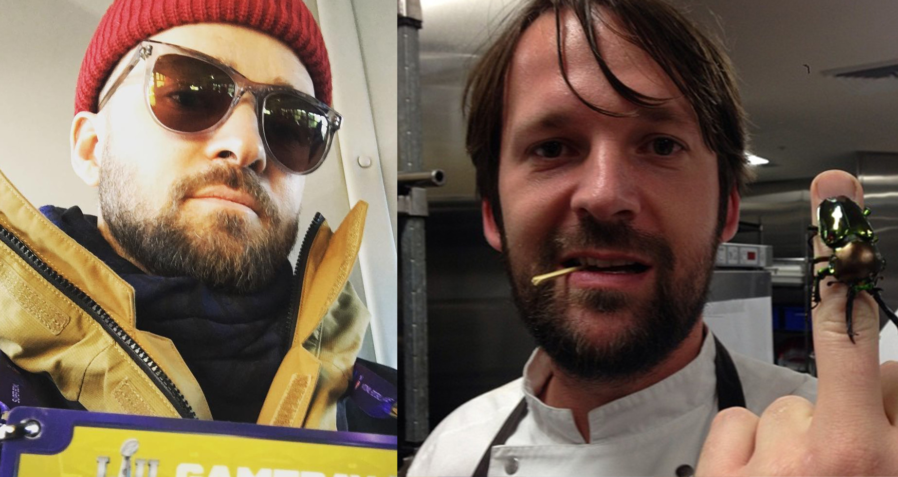 Justin Timberlake, René Redzepi and unidentified insect